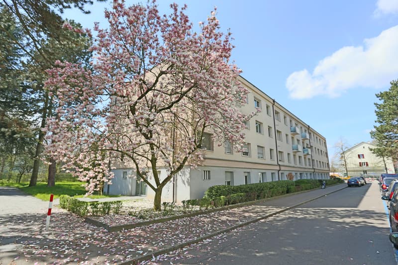 Liegenschaft