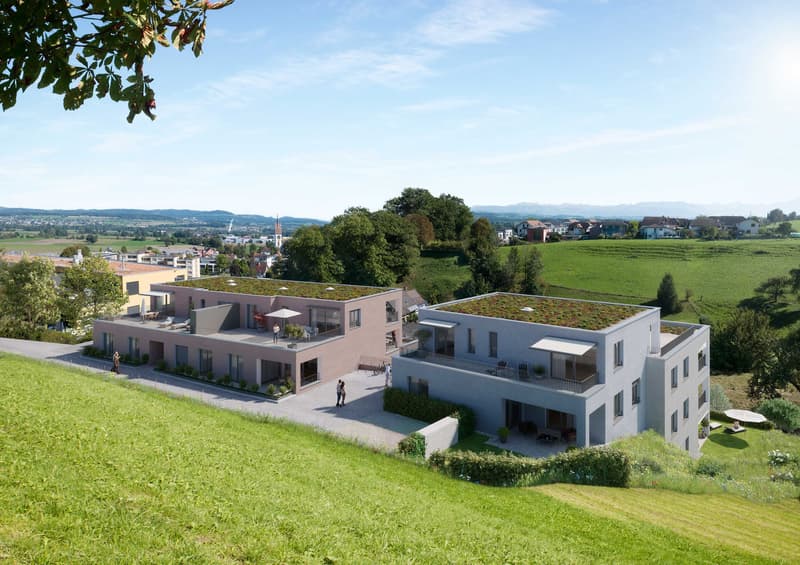 Two-story house, green roof, balcony, garden, green lawn, green field, trees, mountains in the distance