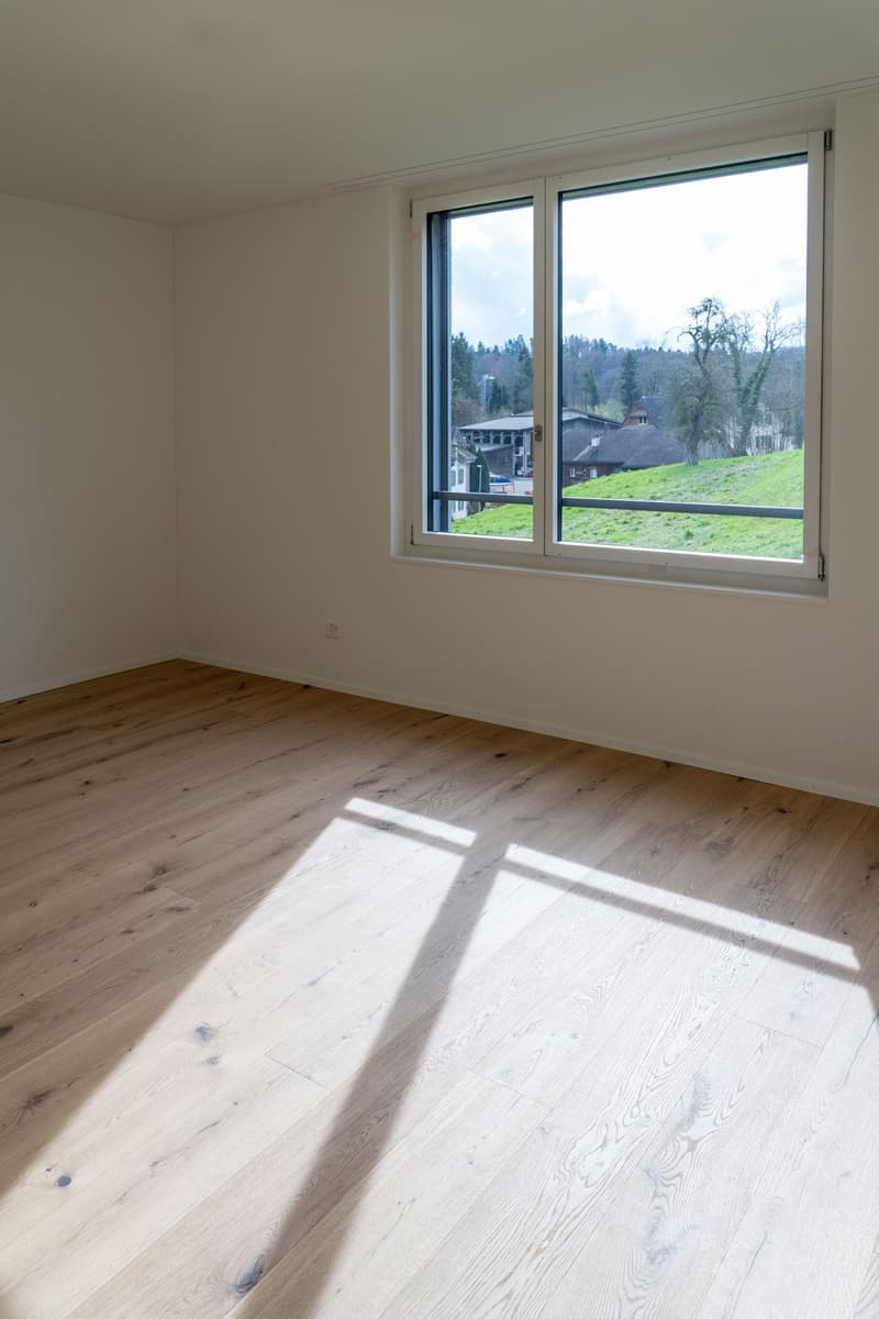 empty room, hardwood floor, large window, view of a hill