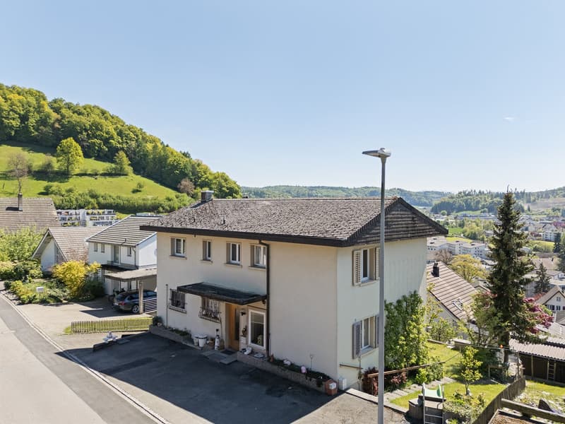 Spacious house for a family, for multi-generational living or living and working (1)