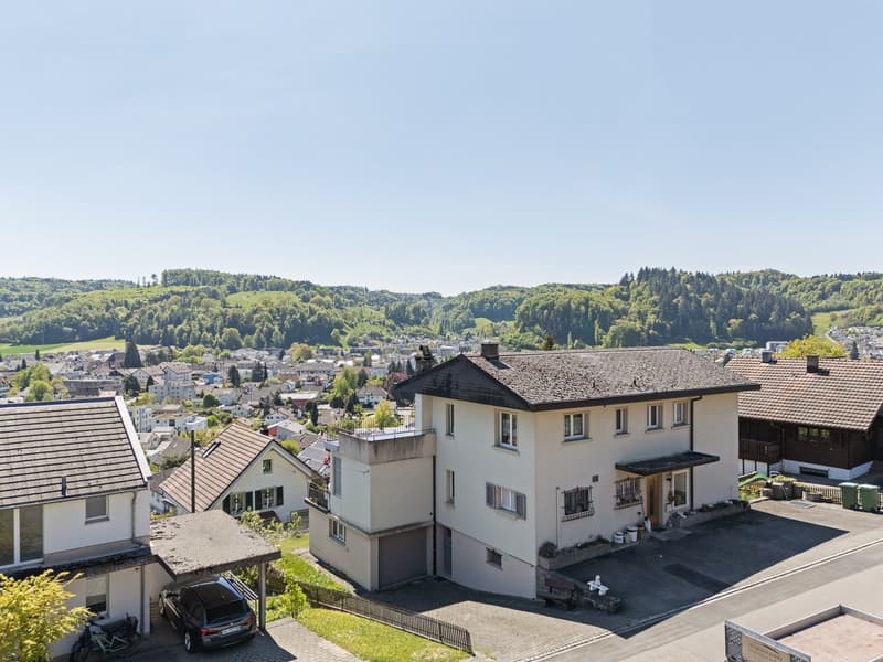 Spacious house for a family, for multi-generational living or living and working (2)