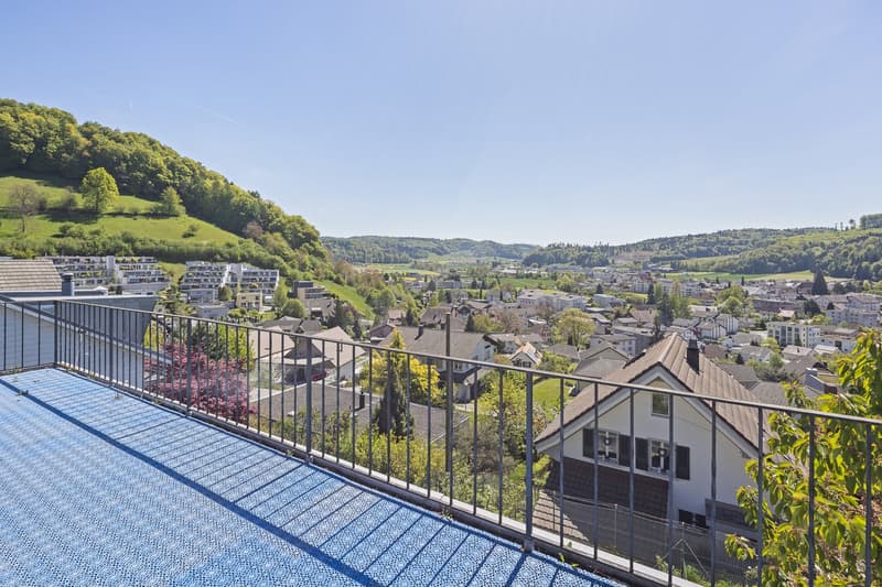 Spacious house for a family, for multi-generational living or living and working (11)