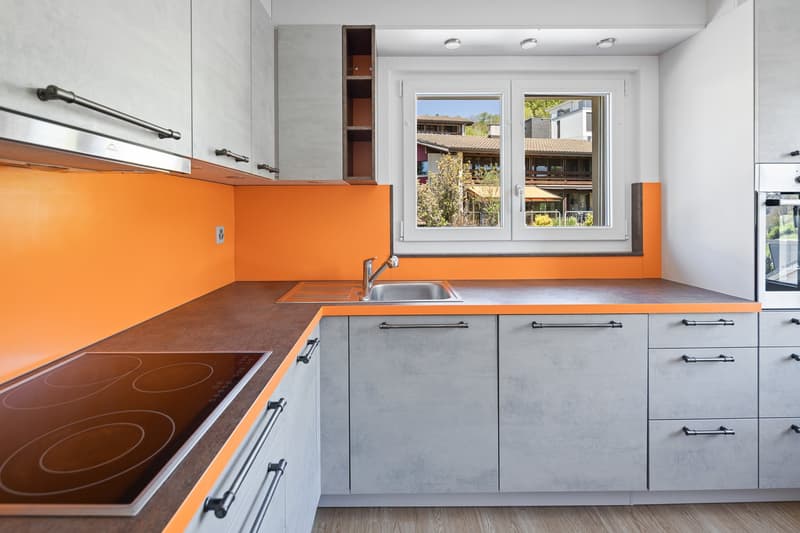 Spacious house for a family, for multi-generational living or living and working (6)