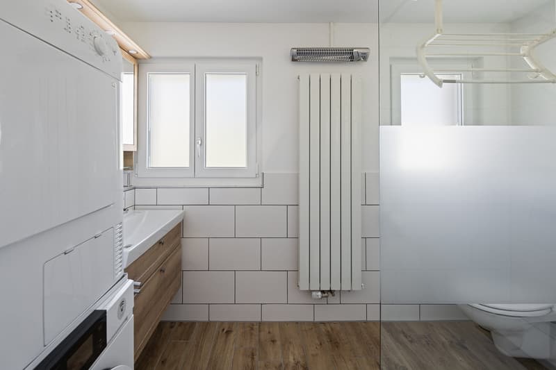 Spacious house for a family, for multi-generational living or living and working (12)