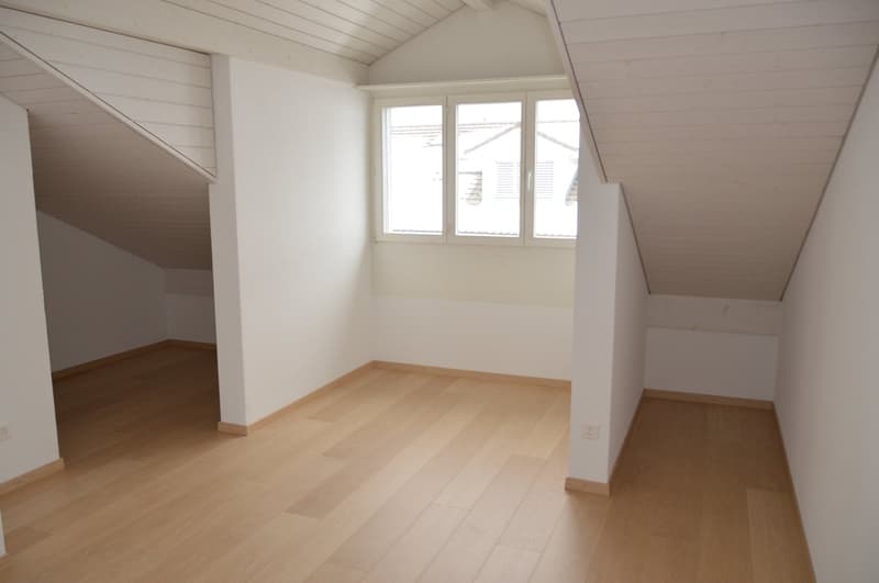 Beautiful maisonette apartment in a quiet sunny location in Waltenschwil (13)
