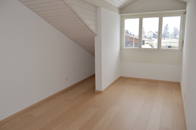 Beautiful maisonette apartment in a quiet sunny location in Waltenschwil (11)