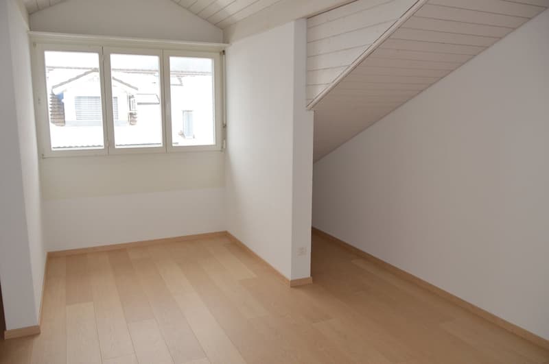 Beautiful maisonette apartment in a quiet sunny location in Waltenschwil (12)