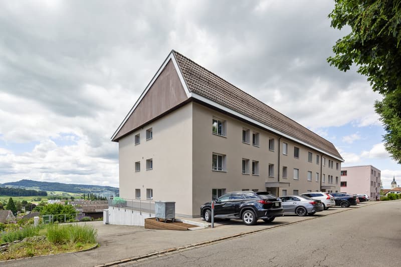 Top gepflegte Wohnung an äusserst schöner Wohnlage (3)