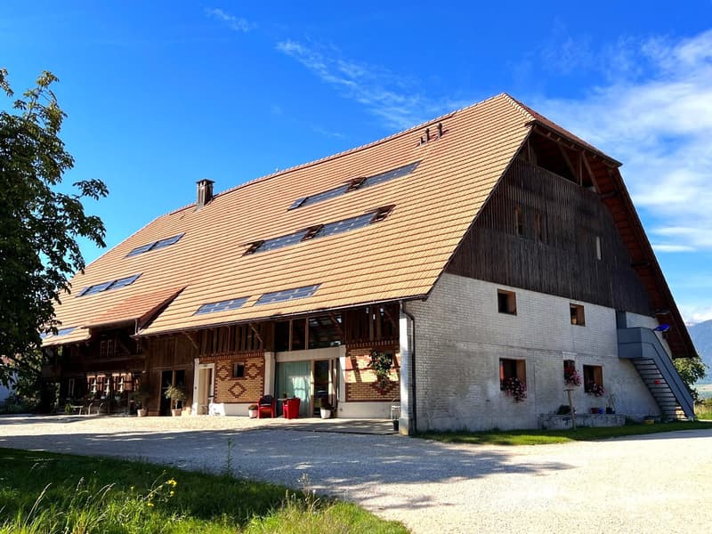 3.5-Room Apartment with Charm by the Village Fountain (1)