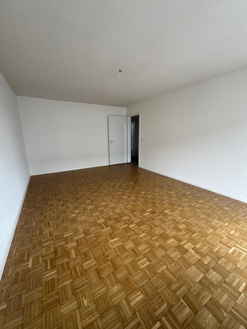 Appartement 3 pièces lumineux dans un quartier calme à Bellach (5)