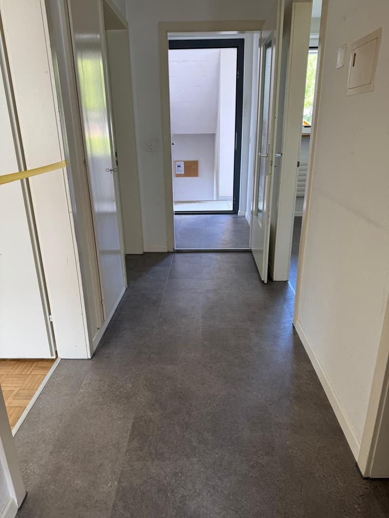 Appartement 3 pièces lumineux dans un quartier calme à Bellach (7)