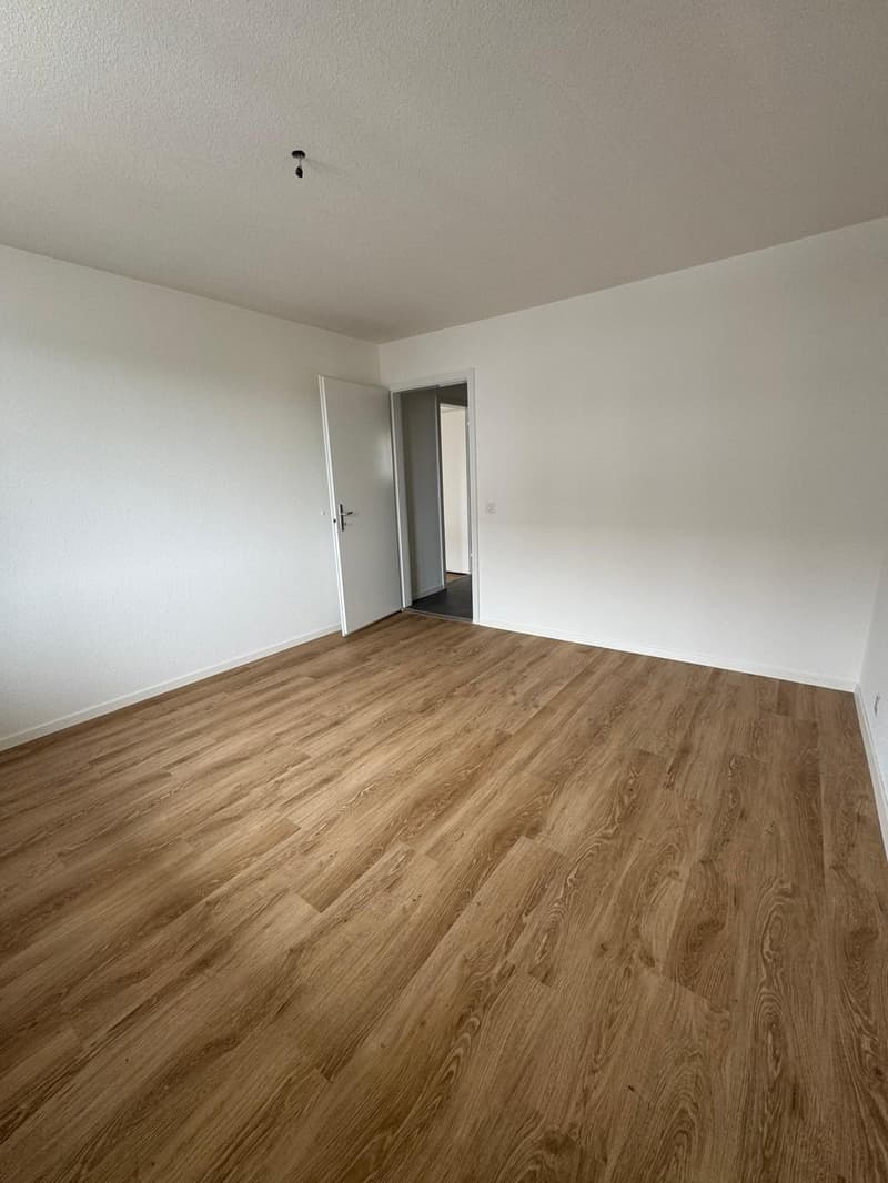 Appartement 3 pièces lumineux dans un quartier calme à Bellach (4)