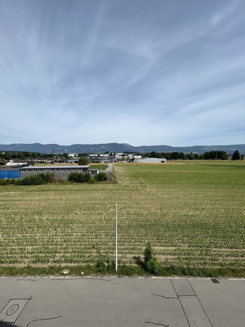 2.5 Room Apartment, 4563 Gerlafingen (11)