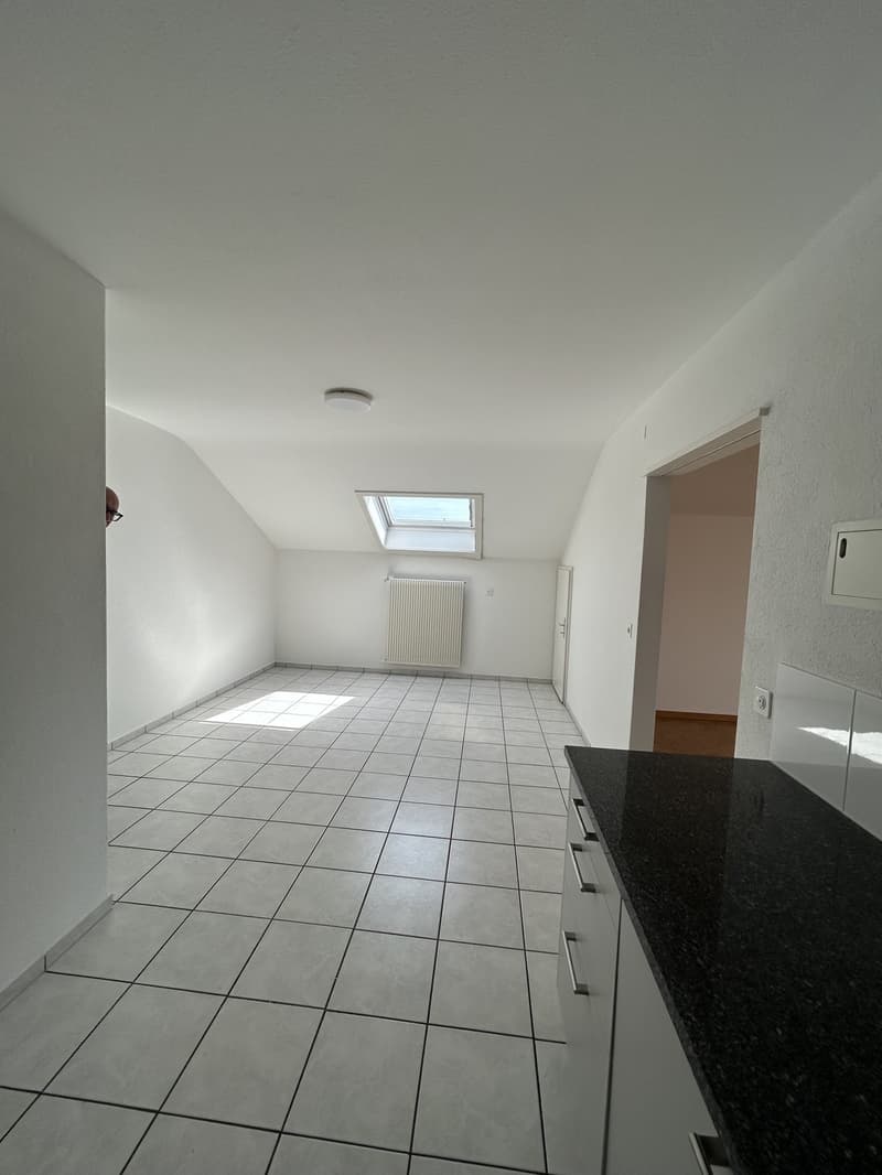 2.5 Room Apartment, 4563 Gerlafingen (4)