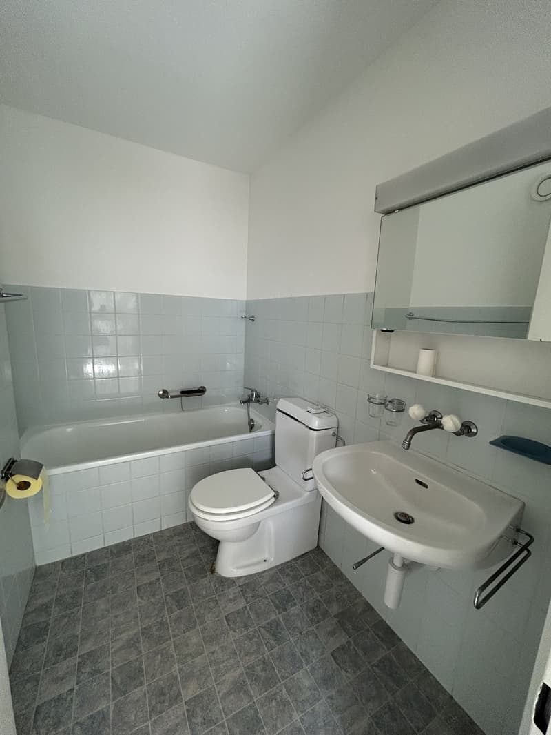 2.5 Room Apartment, 4563 Gerlafingen (6)