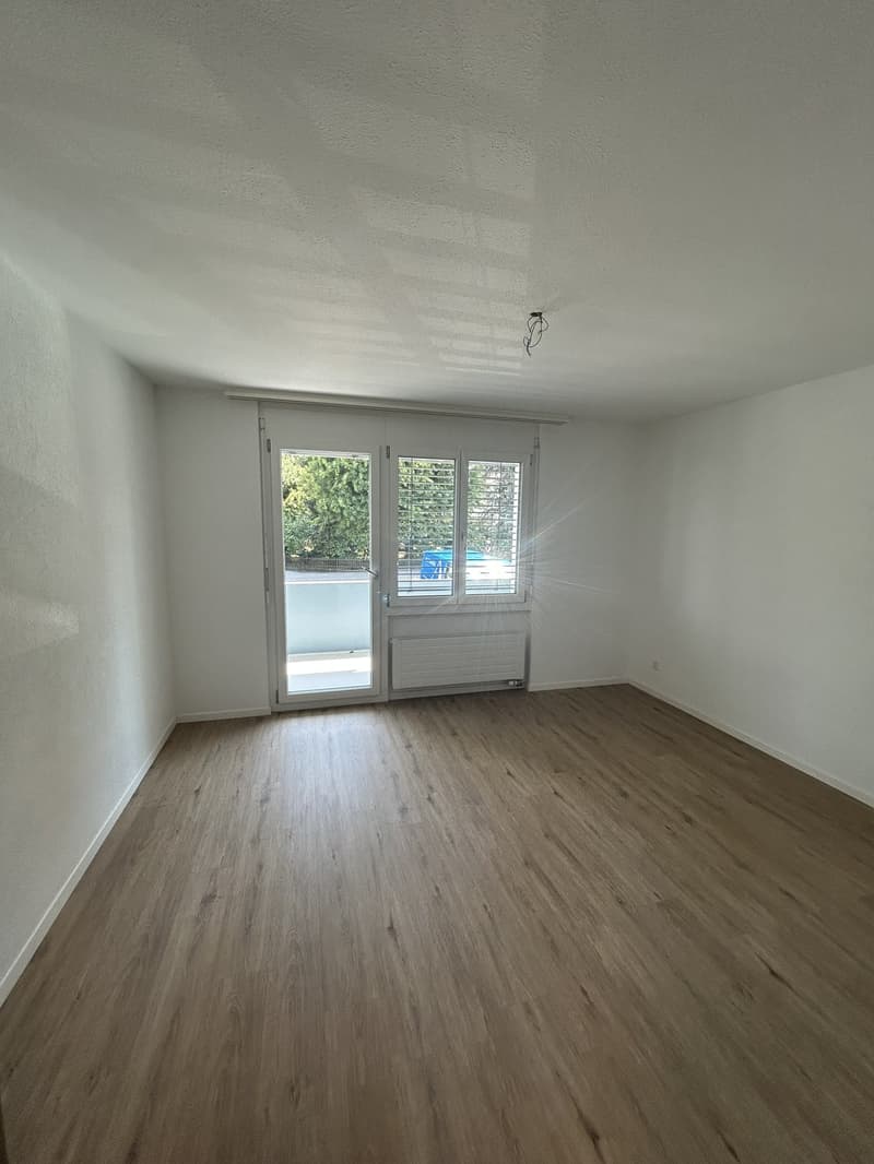 Per sofort grosszügige Wohnung an zentraler Lage (4)