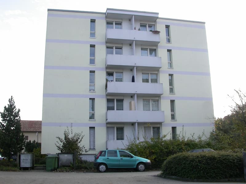 Ampio appartamento in posizione centrale disponibile immediatamente (3)