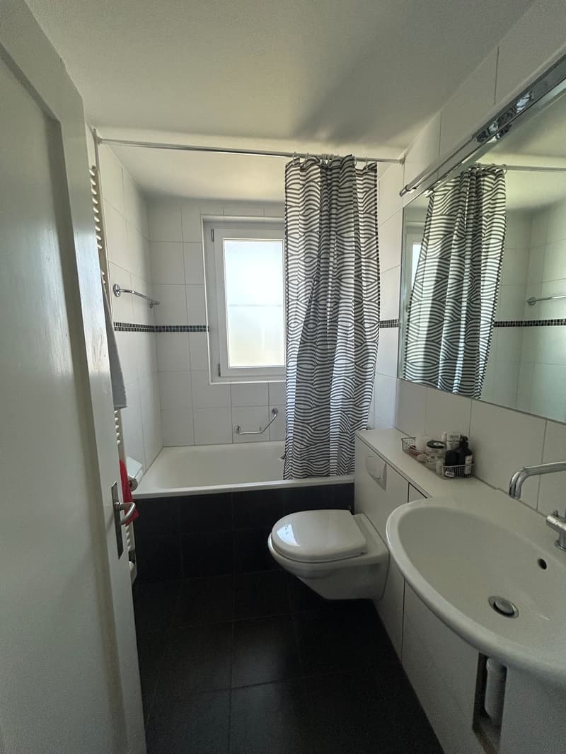3 Zimmer-Wohnung, 4528 Zuchwil (5)