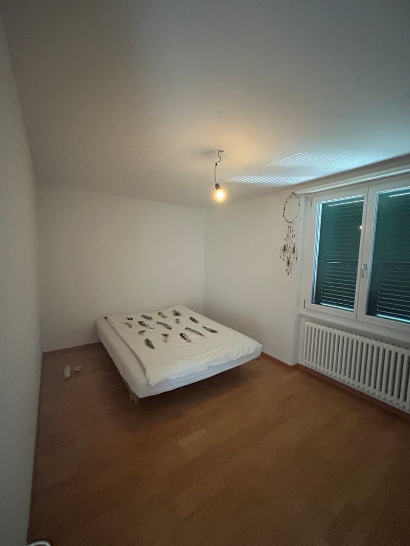 3 Zimmer-Wohnung, 4528 Zuchwil (10)