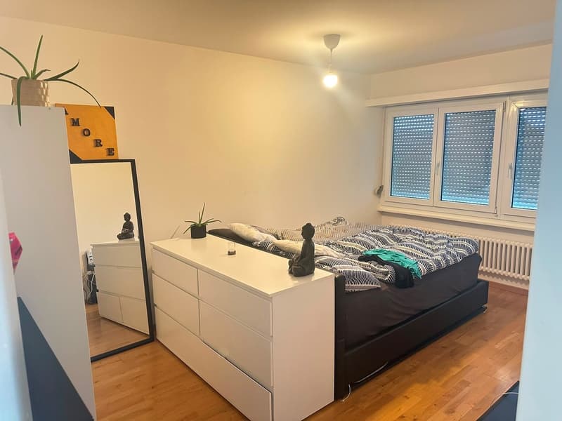 2 ½ Locali Appartamento, 4512 Bellach (6)