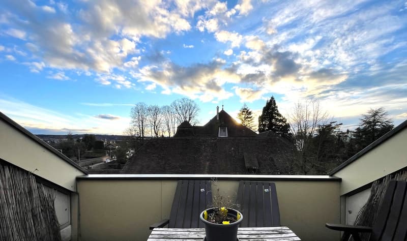 2 ½ Zimmer-Dachwohnung, 4500 Solothurn (5)