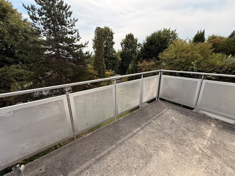 Attraktive 3½-Zimmer-Wohnung mit Terrasse im beliebten Steingrubequartier (6)
