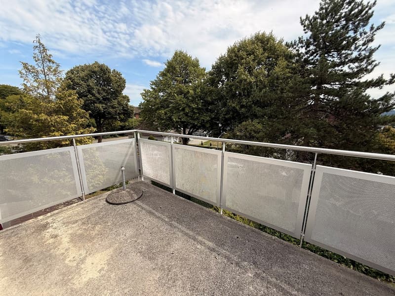 Attraktive 3½-Zimmer-Wohnung mit Terrasse im beliebten Steingrubequartier (5)