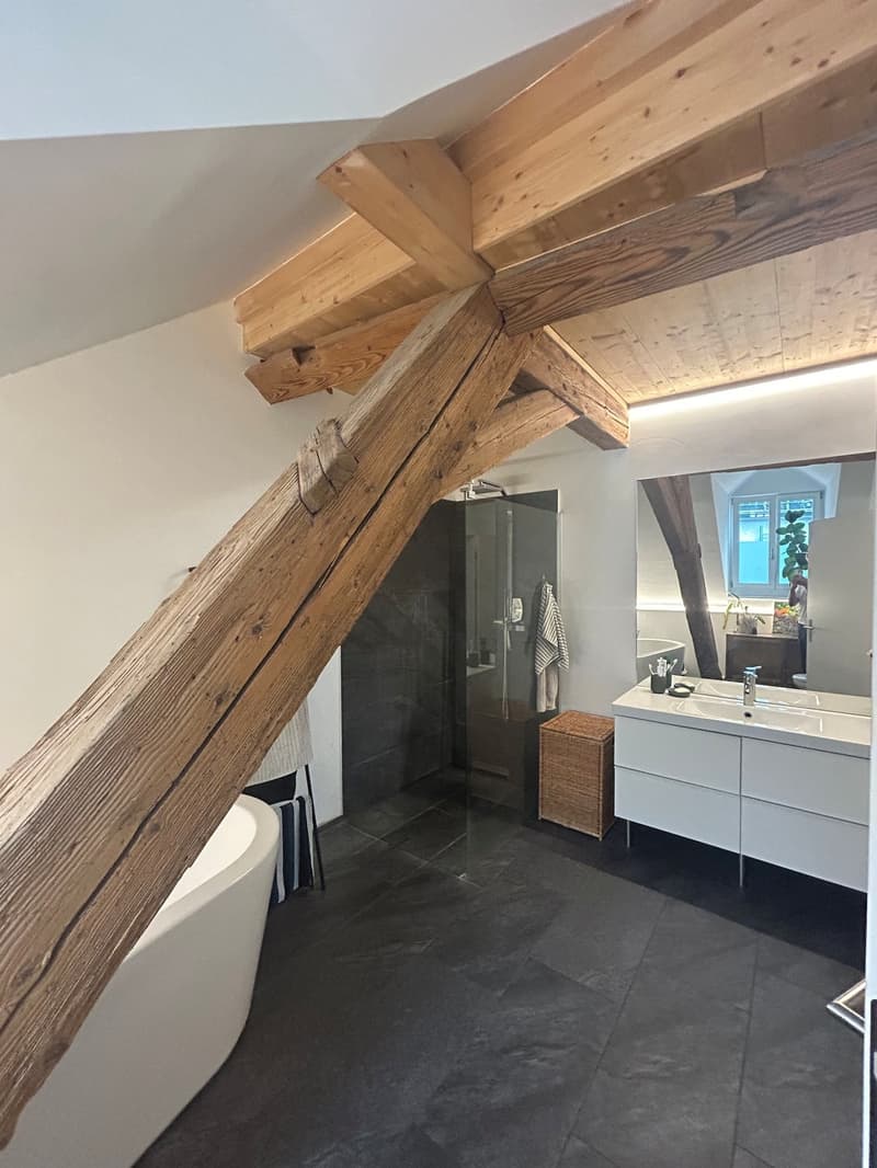 2 ½ Zimmer-Dachwohnung, 4500 Solothurn (8)