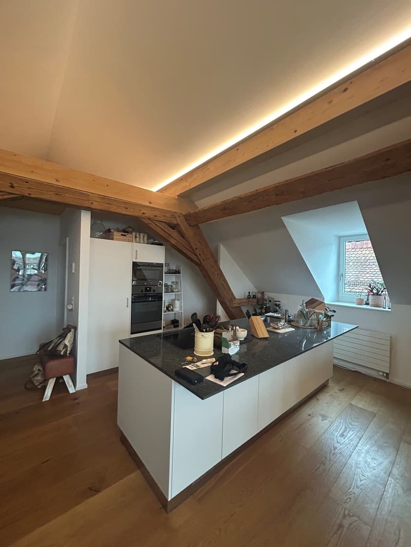 2 ½ Zimmer-Dachwohnung, 4500 Solothurn (6)