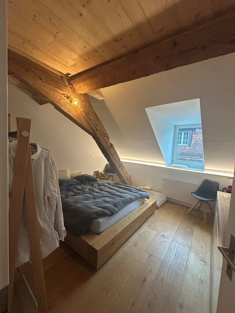 2 ½ Zimmer-Dachwohnung, 4500 Solothurn (9)