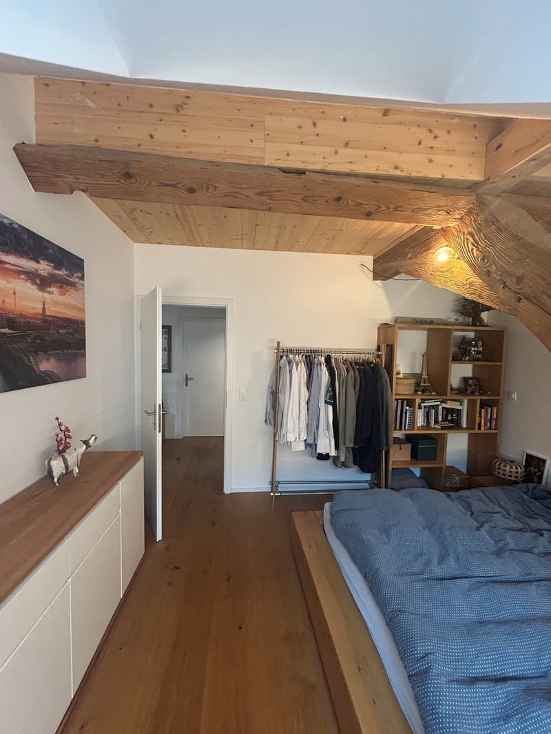 2 ½ Zimmer-Dachwohnung, 4500 Solothurn (10)