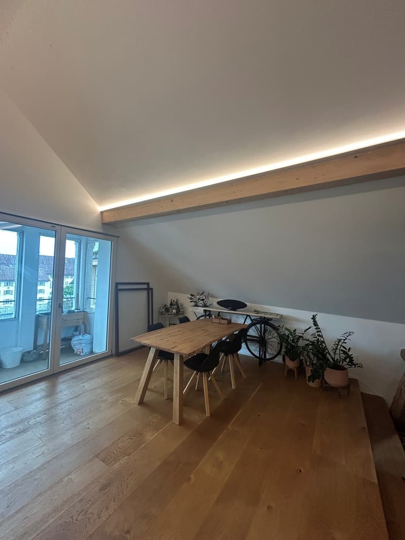 2 ½ Zimmer-Dachwohnung, 4500 Solothurn (12)