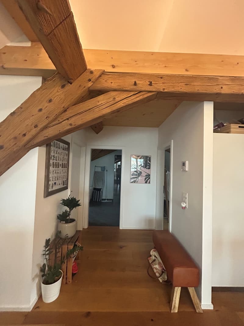 2 ½ Zimmer-Dachwohnung, 4500 Solothurn (5)