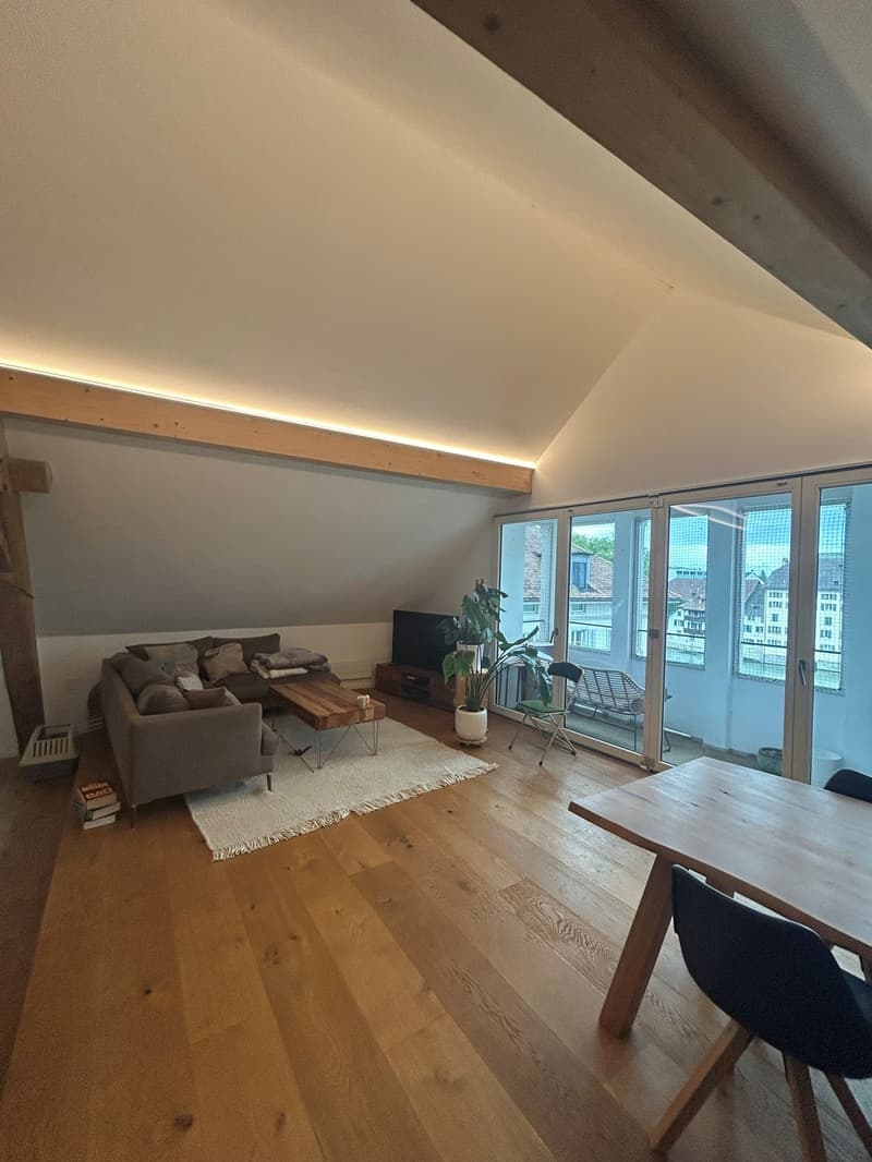2 ½ Zimmer-Dachwohnung, 4500 Solothurn (13)