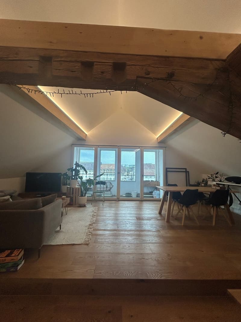 2 ½ Zimmer-Dachwohnung, 4500 Solothurn (11)
