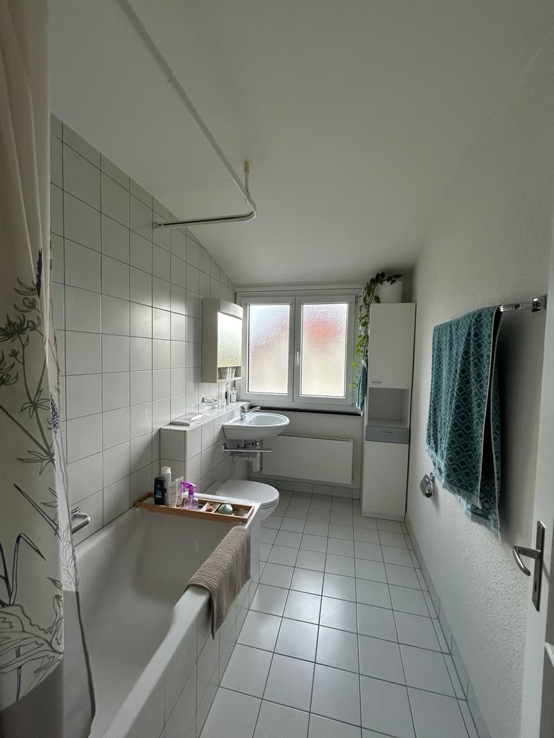 3 Zimmer-Wohnung, 4500 Solothurn (5)