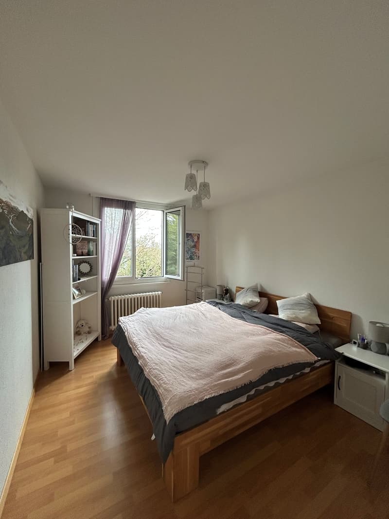 3 Zimmer-Wohnung, 4500 Solothurn (7)