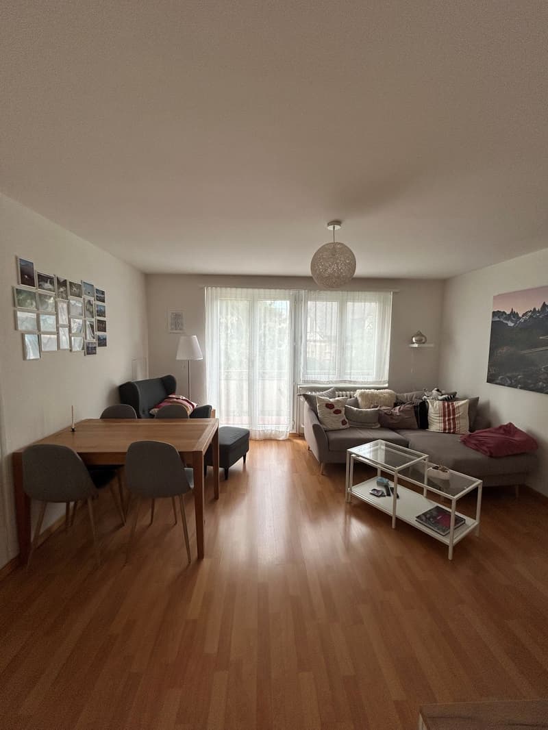 3 Zimmer-Wohnung, 4500 Solothurn (10)