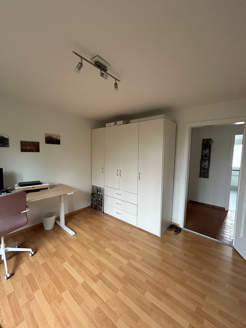 3 Zimmer-Wohnung, 4500 Solothurn (9)