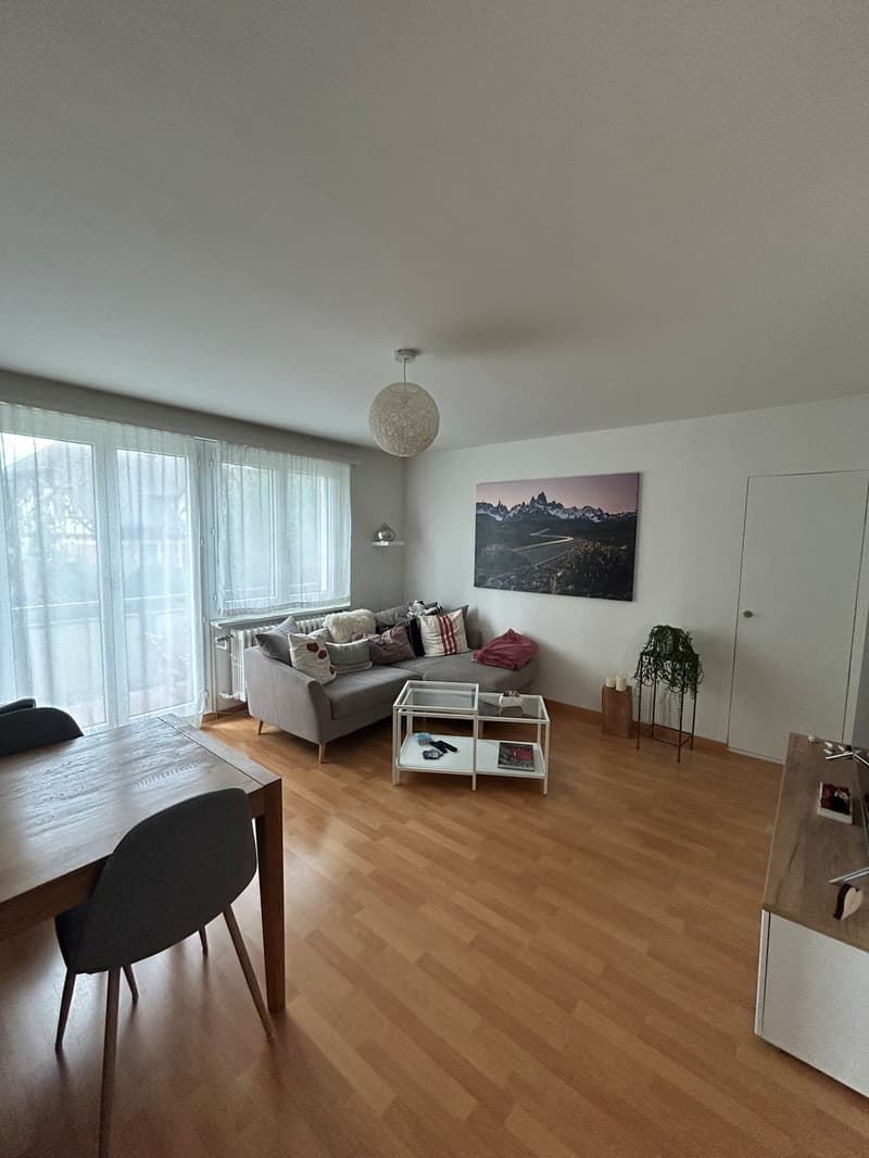 3 Zimmer-Wohnung, 4500 Solothurn (11)
