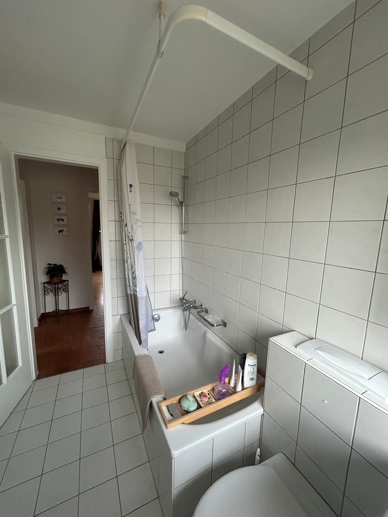 3 Zimmer-Wohnung, 4500 Solothurn (6)