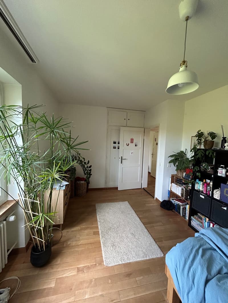 4 Zimmer-Wohnung, 4500 Solothurn (8)
