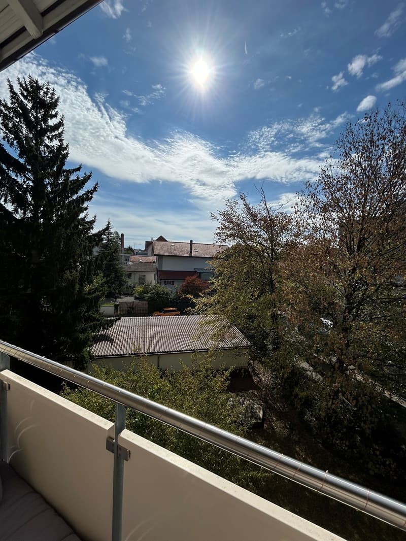 4 Zimmer-Wohnung, 4500 Solothurn (11)