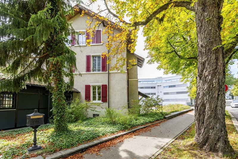 9 Zimmer-Haus, 4500 Solothurn (2)