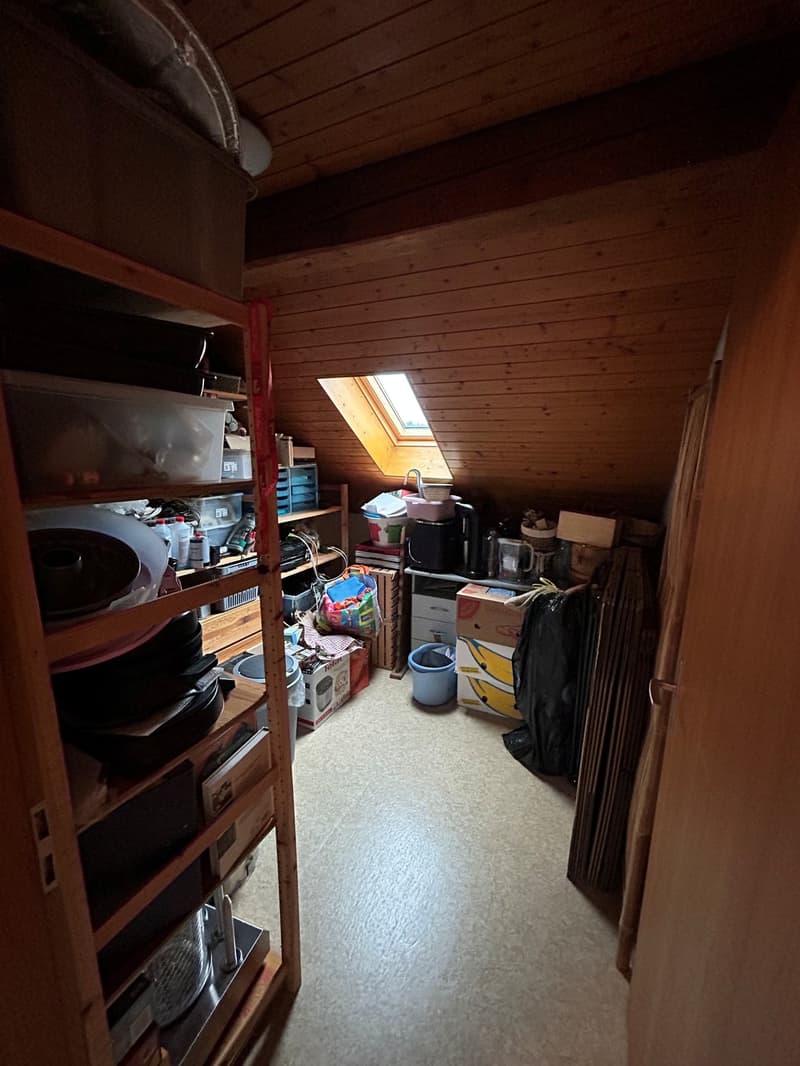 3 Zimmer-Wohnung, 4562 Biberist (10)