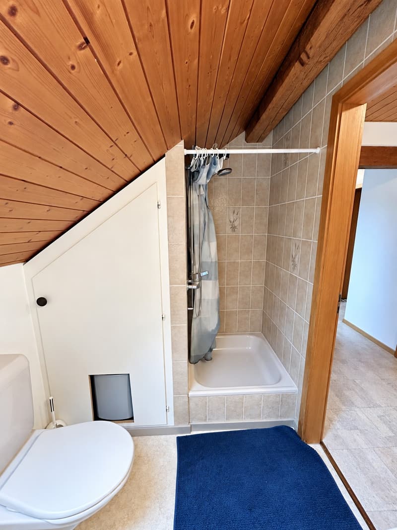 3 Zimmer-Wohnung, 4562 Biberist (10)