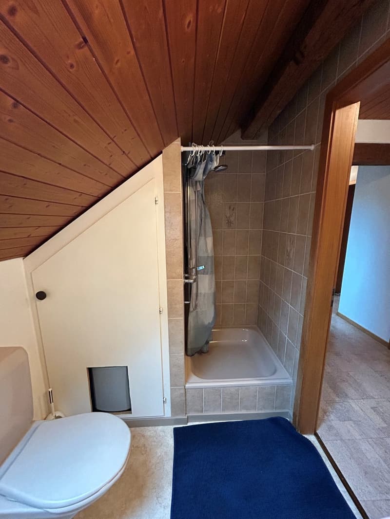 3 Zimmer-Wohnung, 4562 Biberist (7)