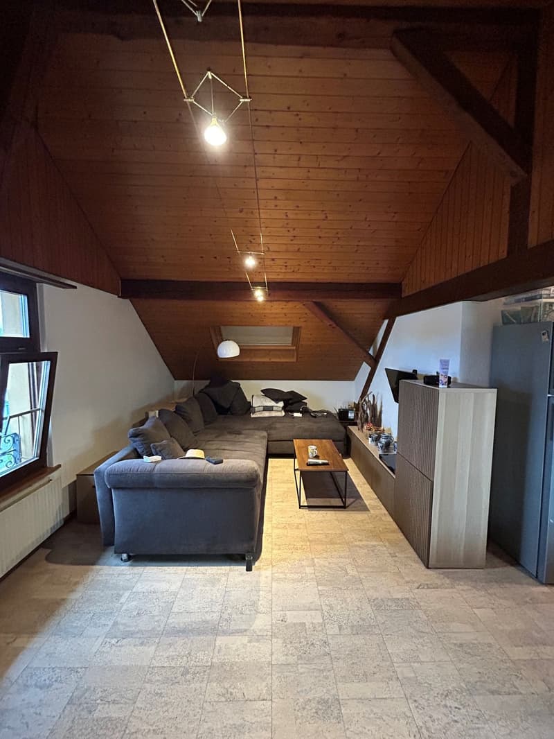 3 Zimmer-Wohnung, 4562 Biberist (8)