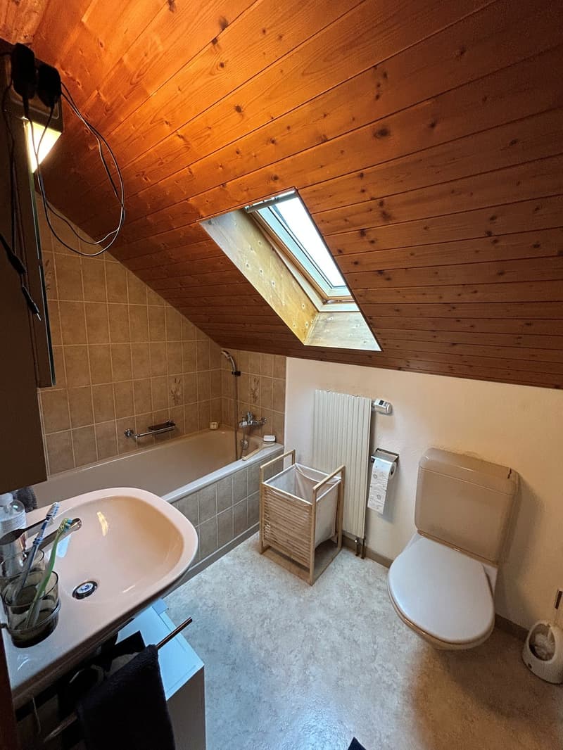 3 Zimmer-Wohnung, 4562 Biberist (6)