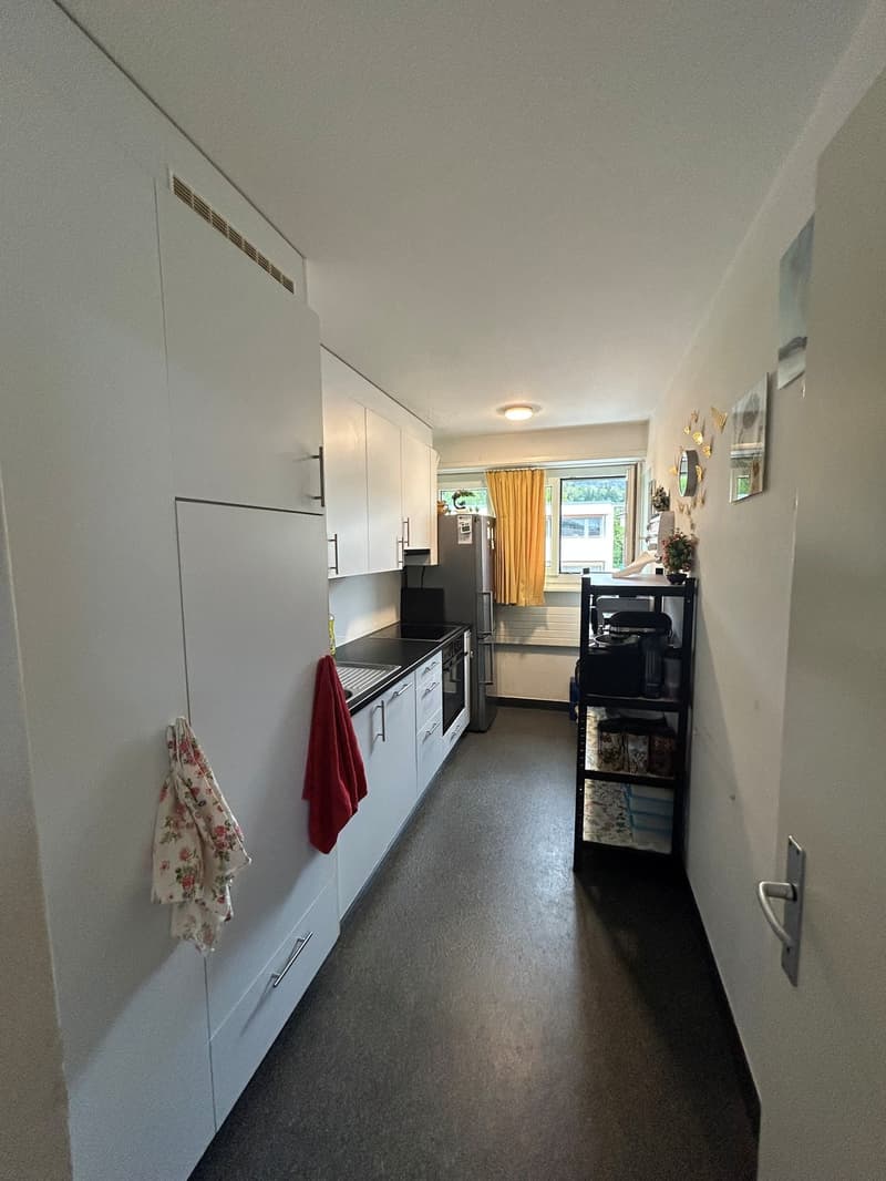 Schöne 3.5-Zimmerwohnung (3)